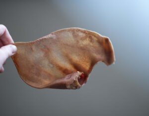 Dehydrated Pig Ear